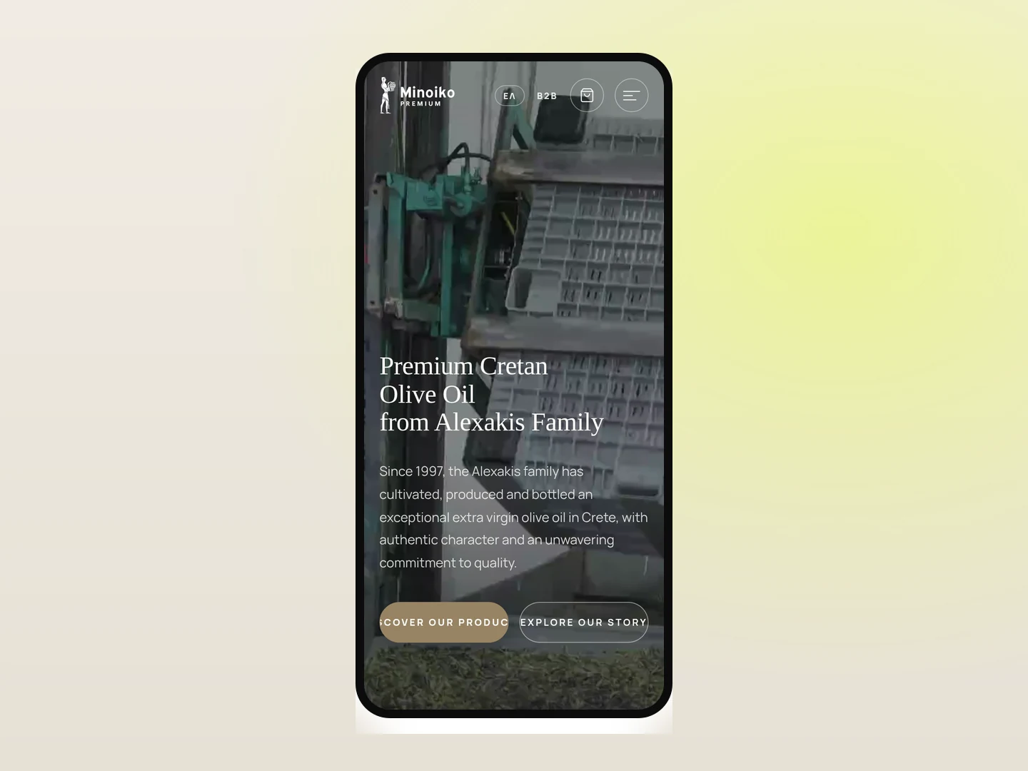 Minoiko Olive Oil — mobile